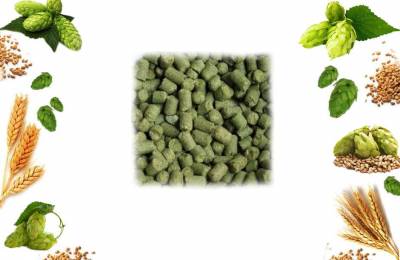 Гранулированный хмель HALLERTAU PERLE 100г Делегат