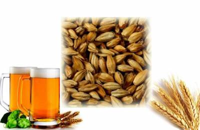 Ячменный солод Меланоид 1 кг Тюльпаны