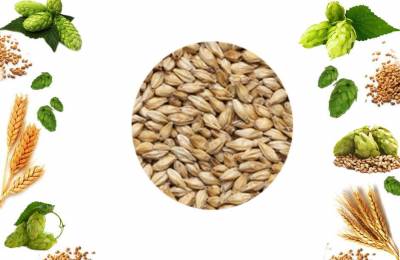 Солод Пшеничный Мальт в мешке 25кг Лукас