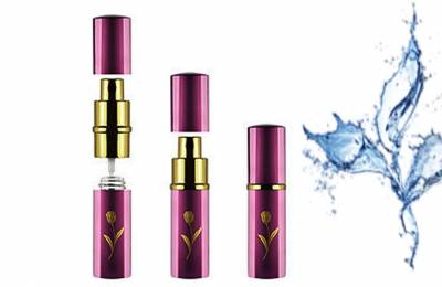 Флакон металлический 9 мл с крышечкой и распылителем "Аленький цветок малиновый"