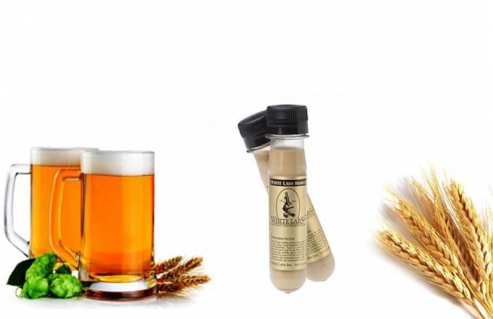 Купити Купити Дрожжи Belgian Style Saison Ale Yeast Blend Инстанция в Україні в Україні
