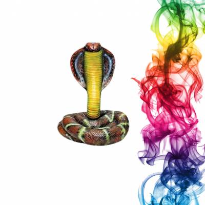 Садовая фигура купить Кобра высота 65 см черешня