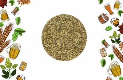 Купить Овес несоложёный 1 кг Певек