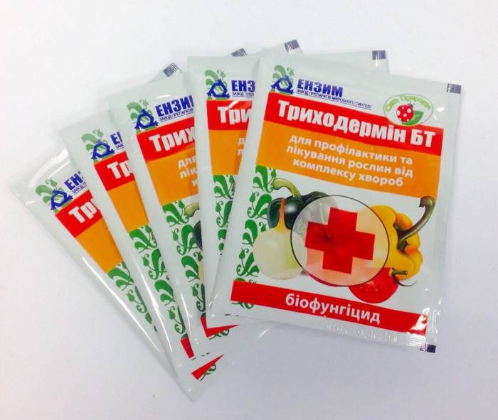 Биофунгицид Триходермин БТ для протравления семян