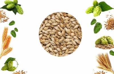 Солод Кара Плюс 10 в мешке 25кг Мейкдон