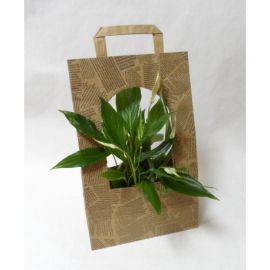 Пакет для цветов President 230 * 110 * 350