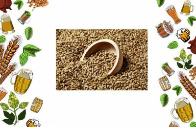 Солод ячменный карамельный GoldSwaen Classic 1 кг Аркоф