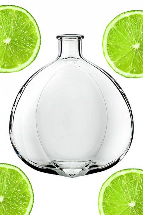 Купити Купити Стеклянная бутылка для коньяка "Дакота Гаага" 700 м в Україні в Україні