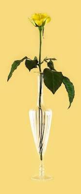 Ваза «Айгуль»