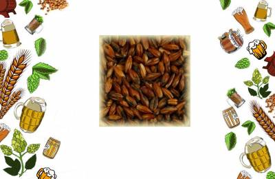 Солод специальный Шато Кофе Лайт 1 кг Акролл