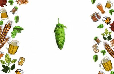 Купить Хмель Magnum 1 кг Оймякон