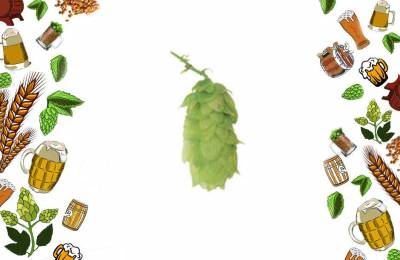 Хмель шишковый Sladek (Чешский хмель) 50 грамм