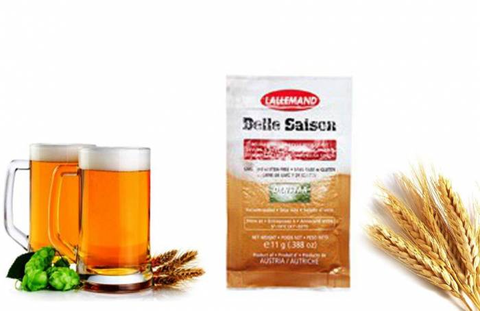 Дрожжи пивные Danstar Belle Saison Yeast Камбист