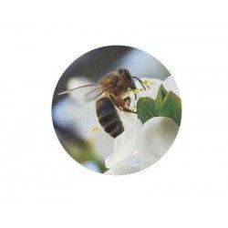 Крышка Твист-Офф 82 мм голубая с пчелой 1