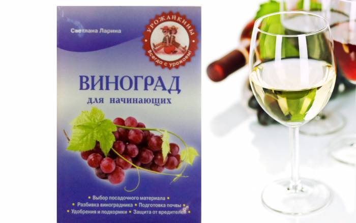 Купити Купити Книга Виноград для начинающих в Україні в Україні