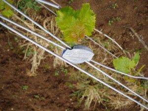 Замок gripple mini для натяжения проволоки англия купить в украине