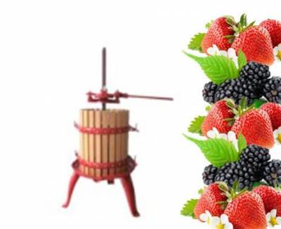 Пресс для фруктов 10л Зубровка