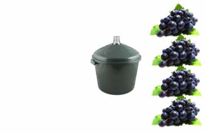 Стеклянный баллон в пластиковом корпусе 50л Декор