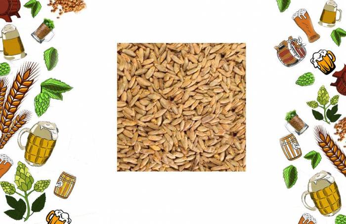 Купити Купити Солод специальный Шато Ржаной Shato Rye 05 кг Арсок в Україні в Україні