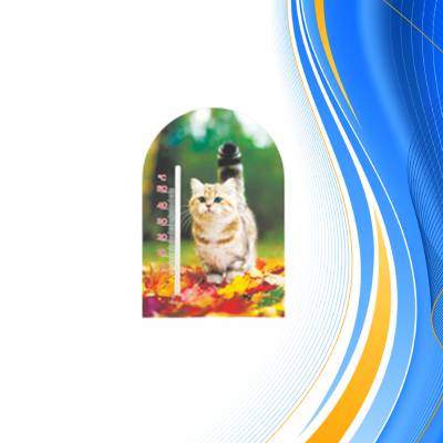 Термометр картонный ЗооМир