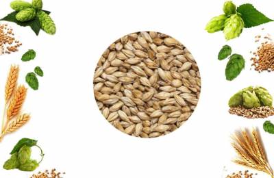 Солод Кристал Мальт 300 в мешке 25кг Майрон 