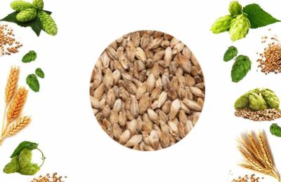 Солод Петид Мальт в мешке 25кг Мидас 