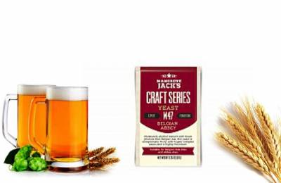 Дрожжи сухие Mangrove Jacks BELGIAN ABBEY 10 g Камера