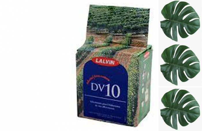Купити Купити Дрожжи винные Lalvin 500 г Марш в Україні в Україні