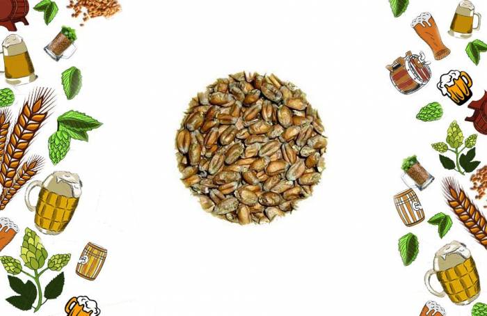 Купити Купити Солод Пшеничный темный Wheat Dark 1 кг Аштюк в Україні в Україні
