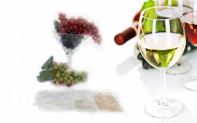 Винные дрожжи Челенж топ 20  (challenge top 20)