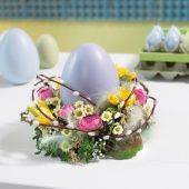 OASIS ECObase Кольцо