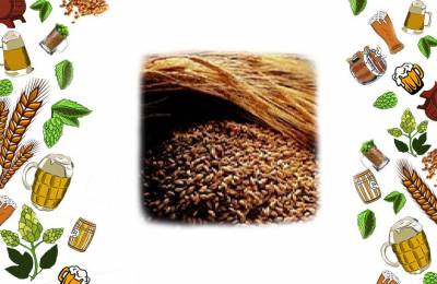 Купить солод ржаной ферментированный 1кг Авентино