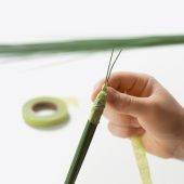 OASIS Ladynette корпус с открытым днищем ,рукоятка с наклоном