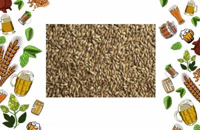 Купить Солод Шато Бисквит 1 кг Макушино