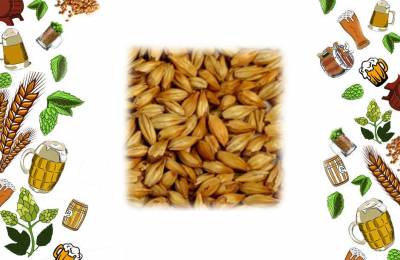 Купить солод специальный ЕВС 120 1кг Авнежка