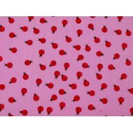 Бумага President серия «Божьи коровки» на цветном