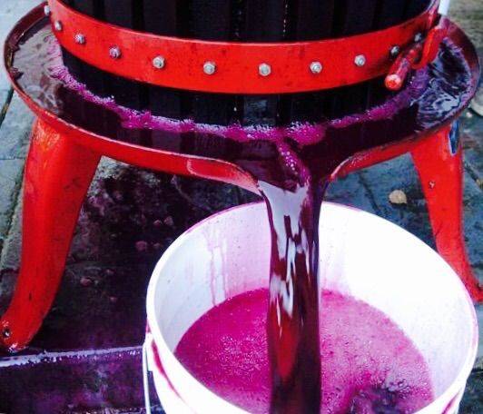 Пресс для винограда и яблок деревянный 15, 25, 30, 40 литров купить в Минске от производителя