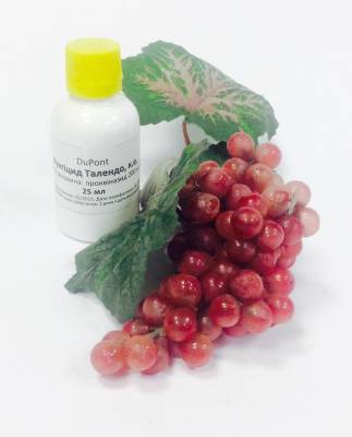 Фунгицид Талендо для защиты виноградников от оидиума