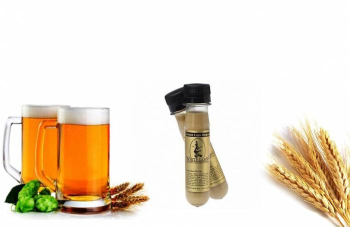 Купити Купити Дрожжи San Francisco Lager Yeast Интарсия в Україні в Україні