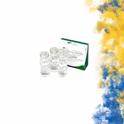 КАЛИБРАТОР АЛЬБУМИН ДЛЯ БЕЛКА В МОЧЕ 1000 АГАТ