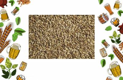 Купить Солод Special X 1кг Малоярославец