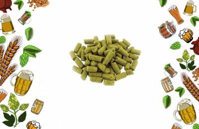 Хмель в гранулах тип 90 Наггет Nugget 1кг Бабезия