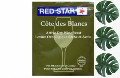 Винные дрожжи Red Star Cotes De Blanc 5 g Маскон