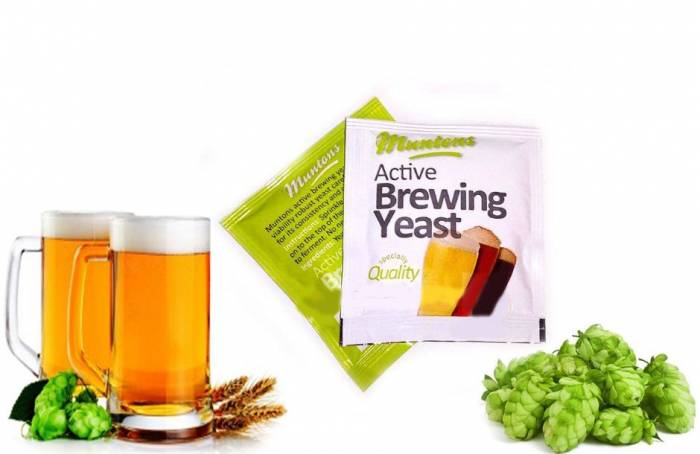 Купити Купити Пивные дрожжи Muntons Active Yeast 6 грамм Зиммель в Україні в Україні