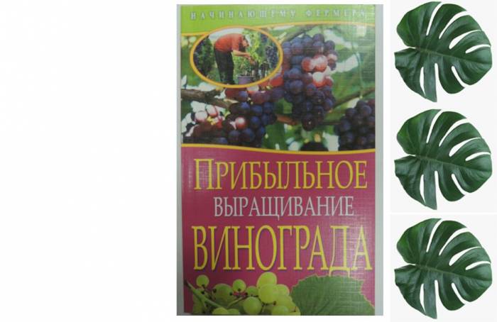 Купити Купити Книга для начинающего фермера "Прибыльное выращивание винограда" в Україні в Україні