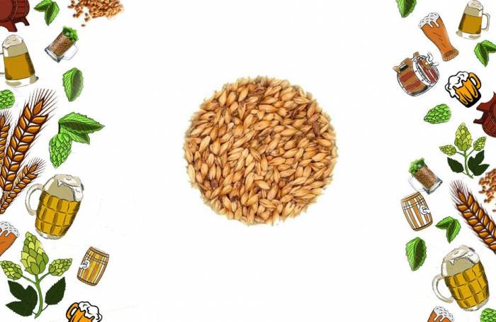 Купити Купити Солод специальный Меланоидиновый Melanoidin 1 кг Алехрон в Україні в Україні