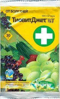 Тиовит Джет