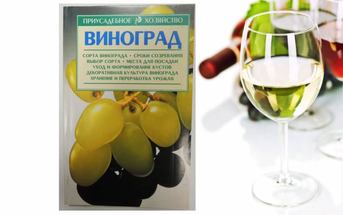 Купити Купити Все про виноград книга - находка для винодела в Україні в Україні