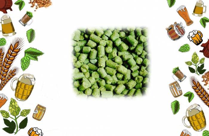 Купити Купити Хмель для пива купить Аврора 1 кг альфа 10 % в Україні в Україні