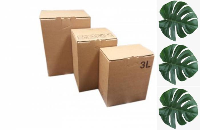 Купити Купити Картонная коробка Bag-in-Box 10 литров Параван в Україні в Україні